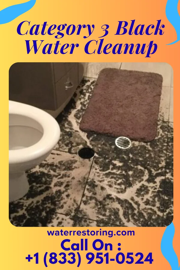 Category 3 Black Water Cleanup in Bridgetown, MS