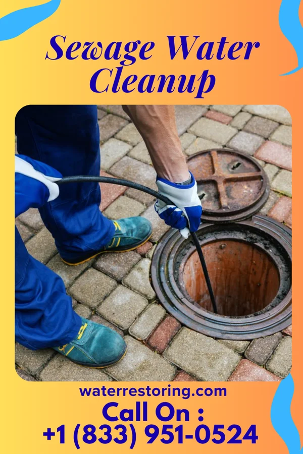 Sewage Water Cleanup in Bridgetown, MS