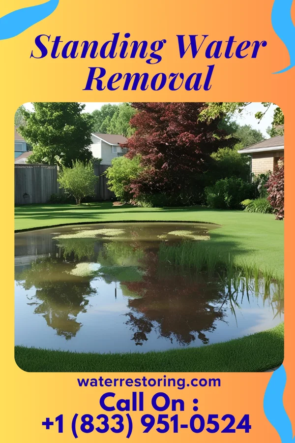 Standing Water Removal in Bridgetown, MS